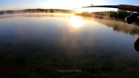 Video by alex