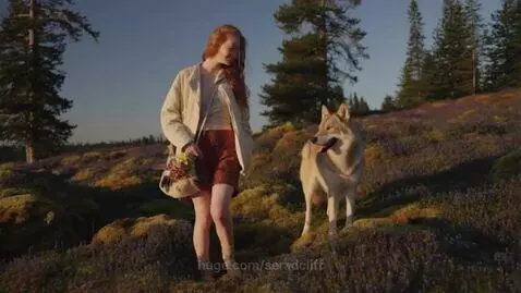 video poster