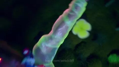 video poster