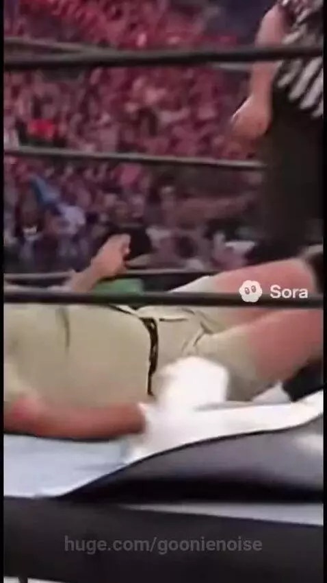 Steve Irwin  Gets His Revenge!!! by goonienoise