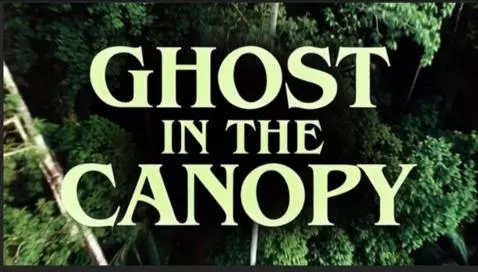 GHOST IN THE CANOPY by neonx