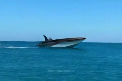 Shark boat by amielz