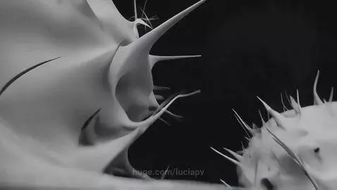Resilience by luciapv