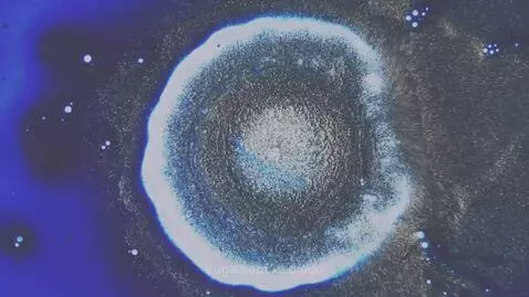 video poster