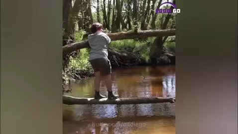 𝐎𝐮𝐭𝐝𝐨𝐨𝐫𝐬 𝐆𝐨𝐧𝐞 𝐖𝐢𝐥𝐝: 𝐂𝐥𝐮𝐦𝐬𝐲 𝐜𝐡𝐚𝐨𝐬 𝐦𝐞𝐞𝐭𝐬 𝐢𝐧𝐝𝐢𝐞 𝐟𝐨𝐥𝐤 𝐛𝐨𝐩𝐬! 🌪️😂 by eddiego