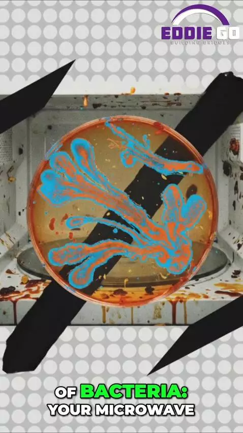 𝐌𝐢𝐜𝐫𝐨𝐰𝐚𝐯𝐞 𝐌𝐚𝐲𝐡𝐞𝐦! 😱 𝐒𝐞𝐜𝐫𝐞𝐭 𝐆𝐞𝐫𝐦𝐬 𝐄𝐱𝐩𝐨𝐬𝐞𝐝! 🦠 by eddiego