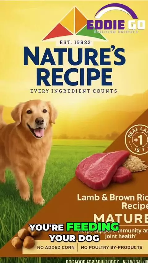 𝐃𝐨𝐠 𝐅𝐨𝐨𝐝 𝐃𝐚𝐧𝐠𝐞𝐫𝐬! 🐶 𝐈𝐬 𝐘𝐨𝐮𝐫 𝐏𝐮𝐩 𝐚𝐭 𝐑𝐢𝐬𝐤? 🚨 by eddiego