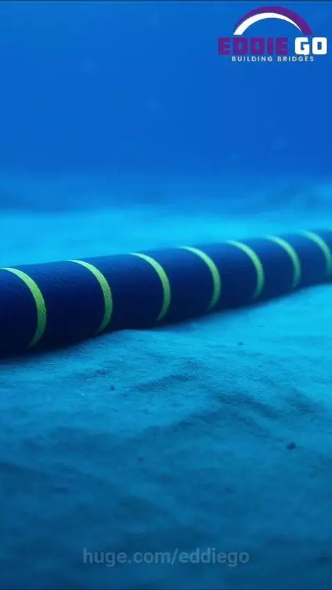 𝐀𝐈’𝐬 𝐦𝐞𝐠𝐚-𝐛𝐫𝐚𝐢𝐧 𝐫𝐮𝐧𝐬 𝐨𝐧 𝟏𝟖𝟎𝟎𝐬 𝐨𝐜𝐞𝐚𝐧 𝐬𝐩𝐚𝐠𝐡𝐞𝐭𝐭𝐢 🌊💻🔥 by eddiego