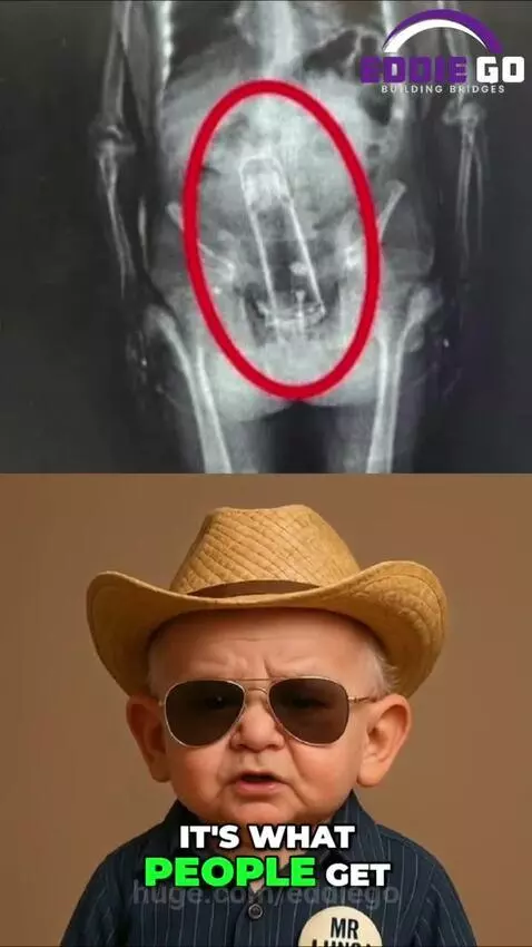 𝐆𝐨𝐯𝐞𝐫𝐧𝐦𝐞𝐧𝐭 𝐃𝐚𝐭𝐚𝐛𝐚𝐬𝐞 𝐓𝐫𝐚𝐜𝐤𝐬 𝐒𝐭𝐫𝐚𝐧𝐠𝐞 𝐎𝐛𝐣𝐞𝐜𝐭𝐬 𝐈𝐧 𝐏𝐞𝐨𝐩𝐥𝐞! 🤯🍑 by eddiego