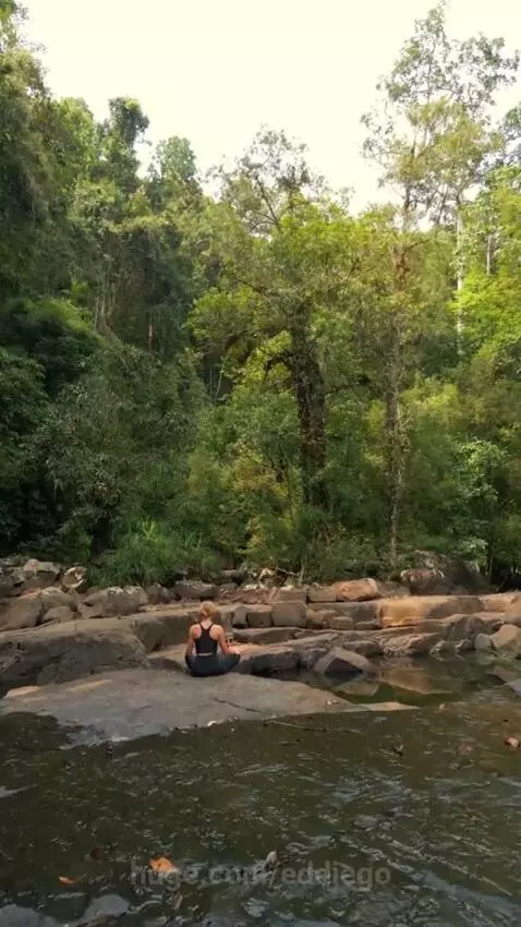 Man in suit by Chicago Riverwalk sign, with nature scenes of water, meditation, and sunlight.
