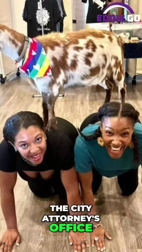 𝐓𝐚𝐱 𝐃𝐨𝐥𝐥𝐚𝐫𝐬 𝐟𝐨𝐫 𝐆𝐨𝐚𝐭𝐬? 🐐 𝐌𝐢𝐧𝐧𝐞𝐚𝐩𝐨𝐥𝐢𝐬'𝐬 𝐖𝐨𝐤𝐞 𝐏𝐫𝐢𝐨𝐫𝐢𝐭𝐢𝐞𝐬 𝐄𝐱𝐩𝐨𝐬... by eddiego