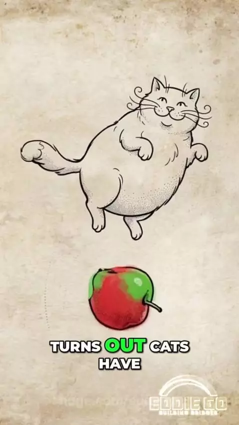 Animated cat spine twisting with glowing segments, illustrating how cats right themselves in mid-air.