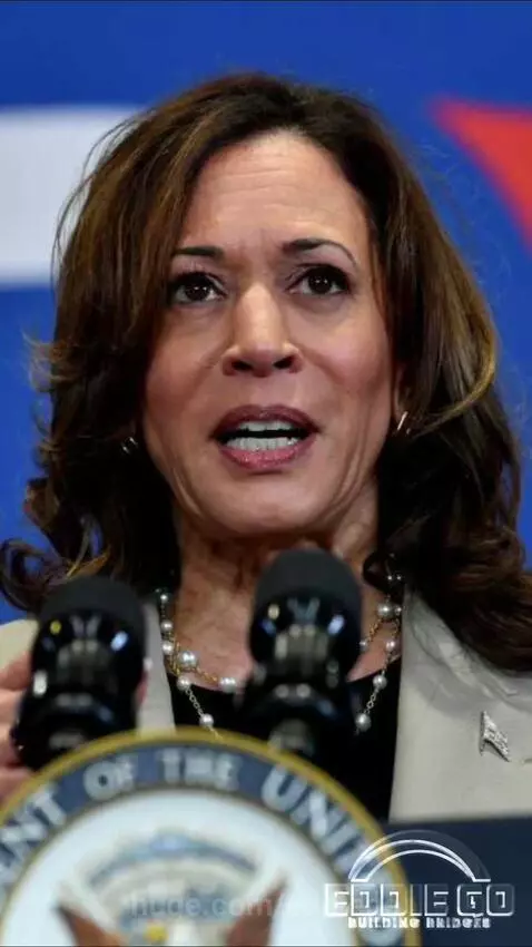 Split screen showing Kamala Harris, private jet interior, and animated graphics about money and opportunity.