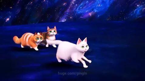 Wow space by gingin