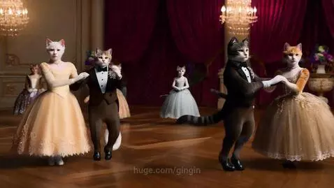 Fancy meow party by gingin