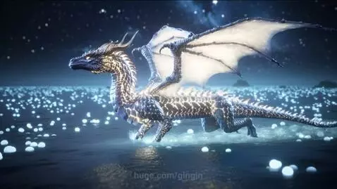 Dragon bus by gingin