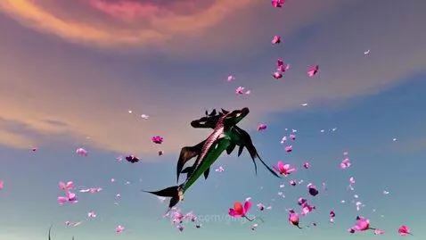 Fish can soar high and free by gingin