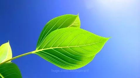 Green has power, Green is Energy! by lewisgerard