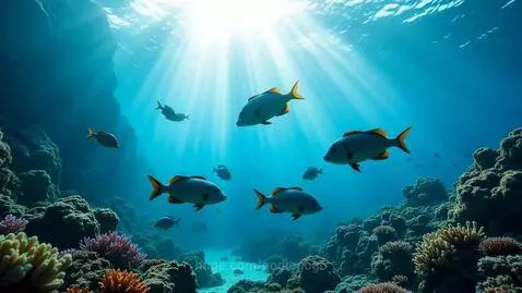 Beautiful underwater view by godiegogo