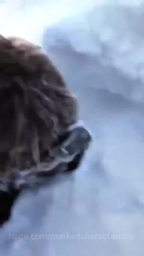 video poster