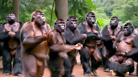 #dance #gorillas by nourhan