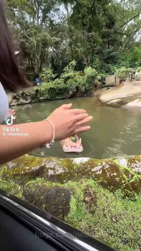 Crocodile 🐊 watermelon 🍉 by nourhan