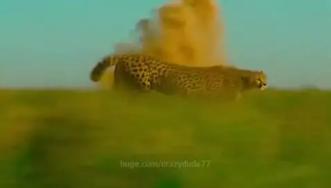 video poster