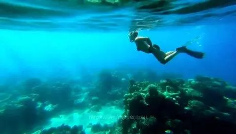snorkeling by nipperman