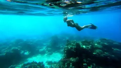 video poster