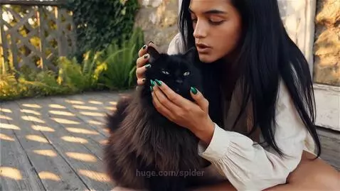 My cat, my soul by spider