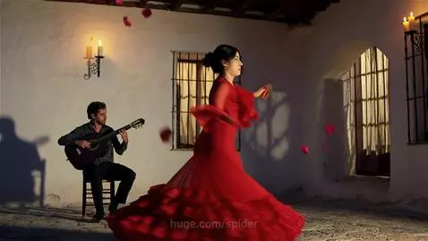 flamenco scene by spider