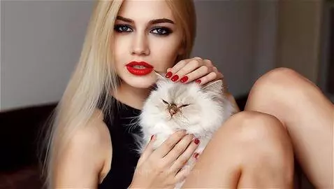 Do you like cats? by spider