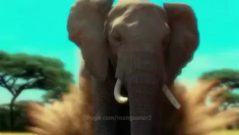 video poster