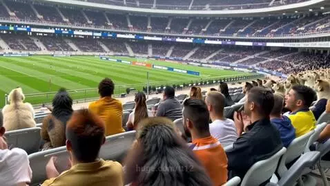 If animals could come watch their favorite teams at the Worl... by tt12
