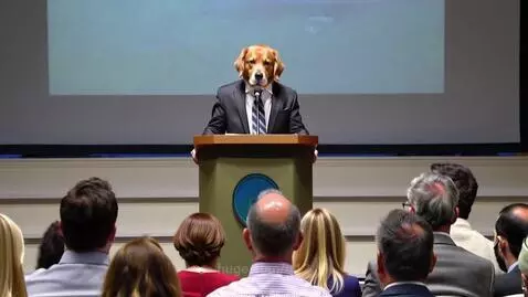Golden Retriever Squirrel Conspiracy by tt12