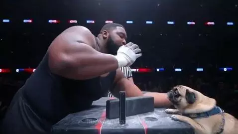Pug slap fight by kazi5isalive