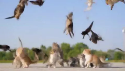 Vybez lol by xcoralisax