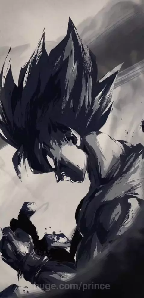 Son Goku by prince