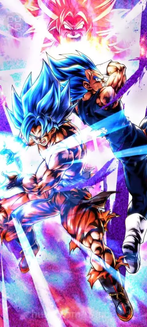 SSJB Goku And Vegeta by prince
