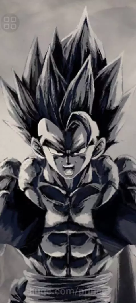 SSJB Gogeta by prince