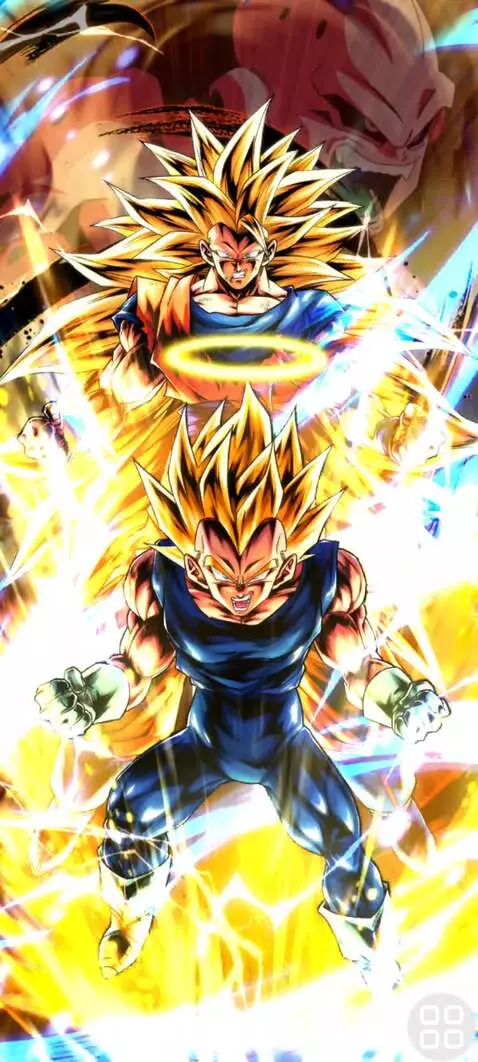 SSJ3 Goku & SSJ2 Vegeta by prince