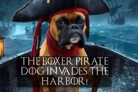 The Boxer Pirate Dog Invades the Harbor! by hahahypno