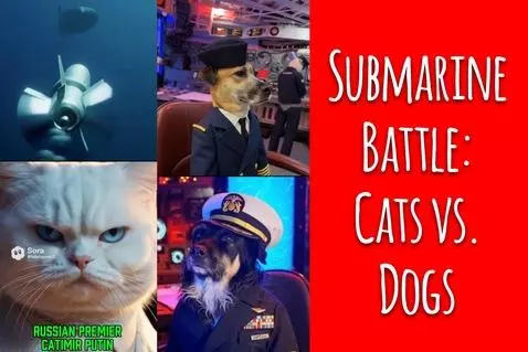 Submarine Battle: Cats vs. Dogs! by hahahypno