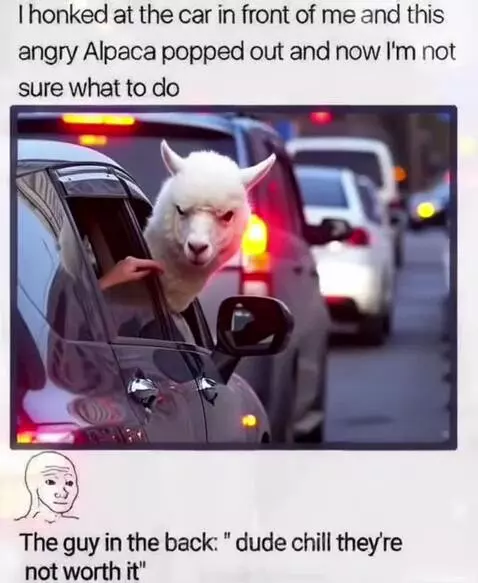 Alpaca Road Rage! by hahahypno
