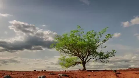 video poster