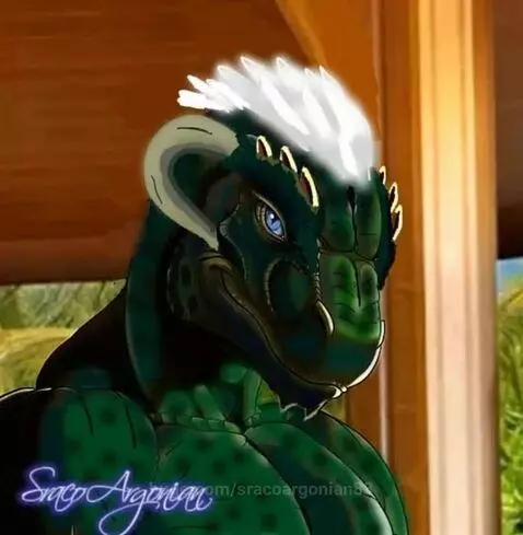 video poster