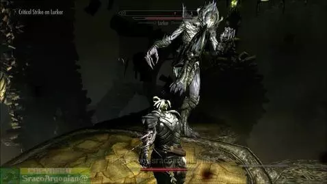 Sraco Battle In A Weird Location 😳 by sracoargonian83
