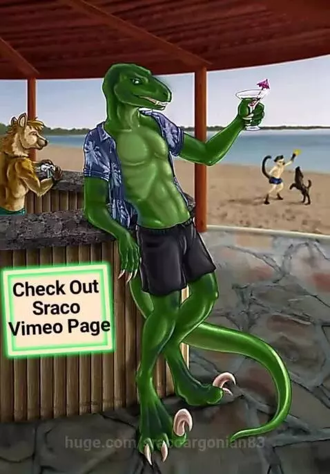 video poster