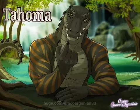Alligator name Tahoma wants you to swim with him 😱💖📸😍 he loo... by sracoargonian83