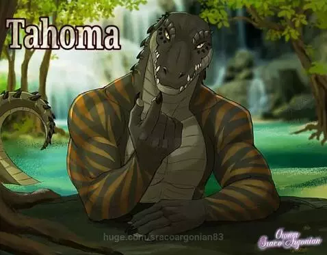 video poster